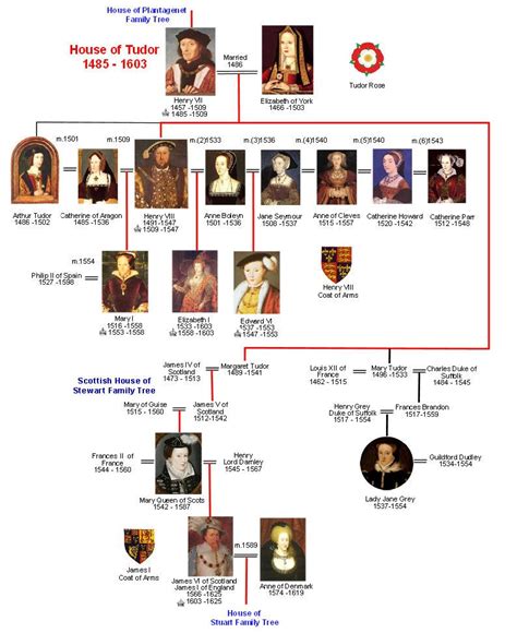 primo dei tudor|british dynasty of tudor.